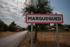 13533 cartel margudgued