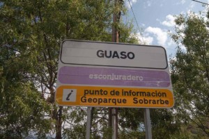 13544 cartel guaso