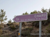 cartel nomenclator charo
