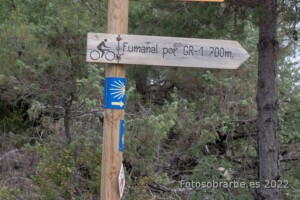 cartel nomenclator fumanal