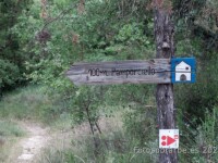 cartel nomenclator Pamporciello