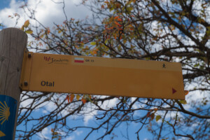 cartel otal