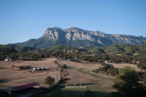 13593 municipio el pueyo de araguas