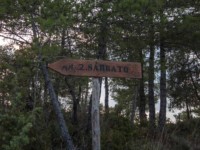 14486 cartel sarrato
