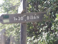 cartel biban