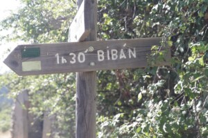 cartel biban