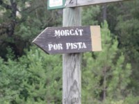 cartel morcat