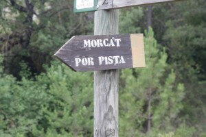 cartel morcat