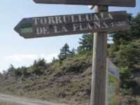 cartel torruellola de la plana