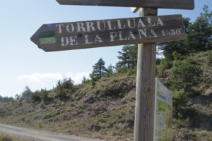 cartel torruellola de la plana
