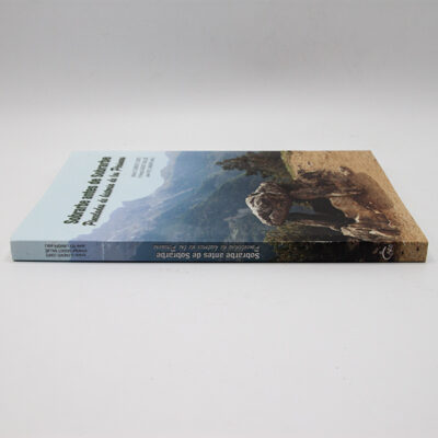 Libro Sobrarbe Antes Lomo
