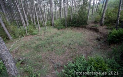 Foto Crómlech Yermos Cementerio