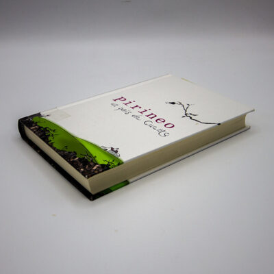 Libro Pirineo - Un país de cuento
