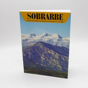 revista CES numero 21-2024- portada
