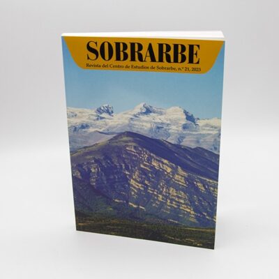 revista CES numero 21-2024- portada