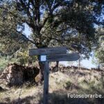 23108458 pueblo rolespe 23108458 pueblo rolespe