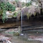 Cueva del Anís