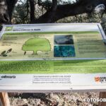 foto cartel encina milenaria lecina