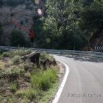 curva fuente eusebio curva fuente eusebio