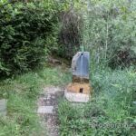 fuente eusebio lejos fuente eusebio lejos