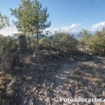 Cruz San Saturio en Coscojuela Cruz San Saturio en Coscojuela