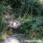 Fuente de La cortada Plampalacios Fuente de La cortada Plampalacios