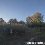 Molino aceitero de Coscojuela de Sobrarbe