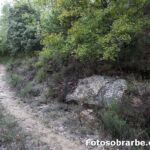 Cruz san Marcos en Coscojuela de Sobrarbe Cruz san Marcos en Coscojuela de Sobrarbe