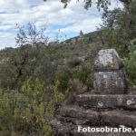 Cruz san Ciprián en Coscojuela Cruz san Ciprián en Coscojuela
