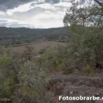 Cruz san Ciprián en Coscojuela