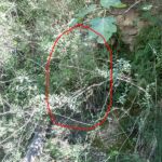 Fuente de San Martín en Boltaña Fuente de San Martín en Boltaña