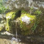 caño fuente cercosa caño fuente cercosa