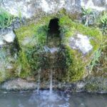 fuente zercosa fuente zercosa