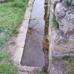 pileta cercosa pileta cercosa