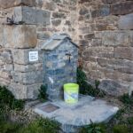 grifo el pueyo de morcat grifo el pueyo de morcat