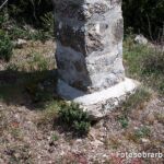 cruz puymorcat cruz puymorcat