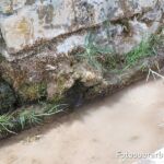 caño fuente cercosa caño fuente cercosa