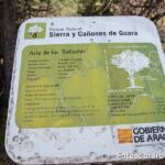 cartel majuelo cartel majuelo