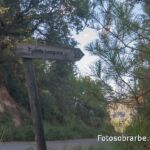 23077738 fuente losguaz escanilla 23077738 fuente losguaz escanilla