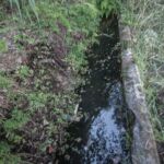 23077748 fuente losguaz escanilla 23077748 fuente losguaz escanilla