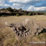 23098294 escultura jabali troncedo 23098294 escultura jabali troncedo